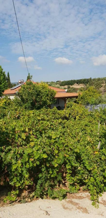 Guesthouse Agia Triada Koroni  Exterior photo